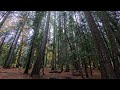 Rainbow Falls State Park Walk Conclusion November 2, 2025