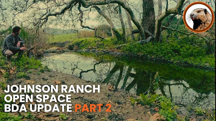 BDA Update at Johnson Ranch Open Space: Post-Rain Sediment Deposition & Impact