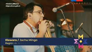 Jachamingo - Miguel Abarca D.