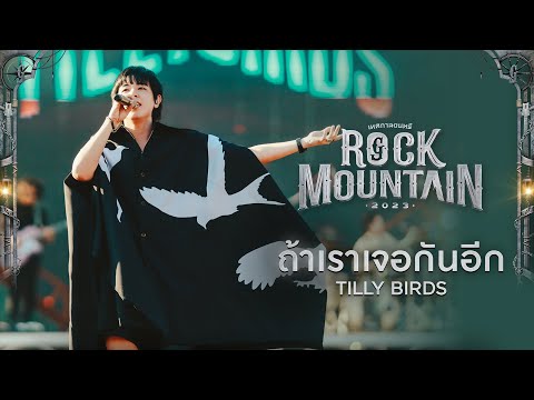 Rock Mountain 2023 : ถ้าเราเจอกันอีก - TILLY BIRDS