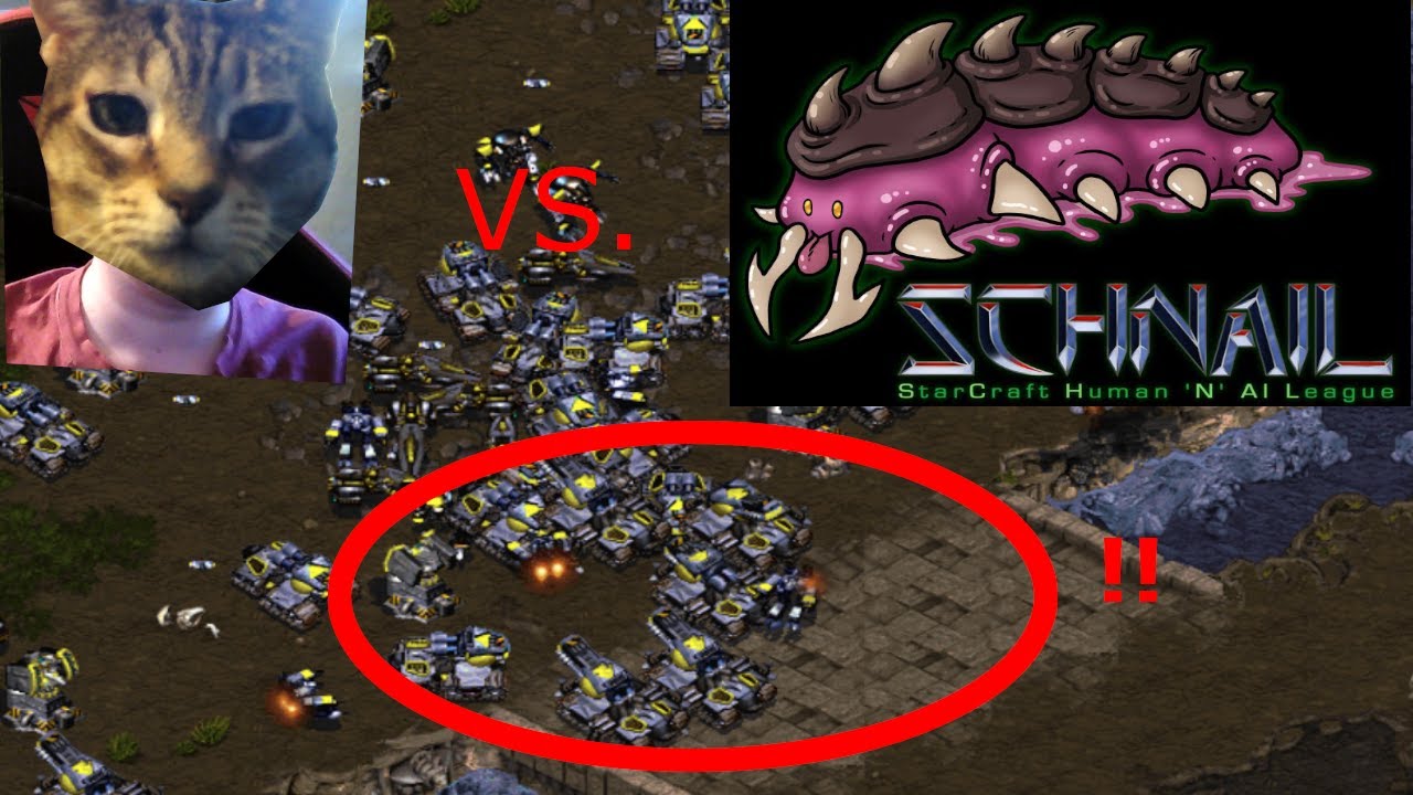 SSCAIT Report 244: NiteKat vs SCHNAIL!