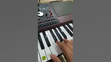 دبكة مجوز سامبليرات فلسطينية عزف كورج Pa 1000 