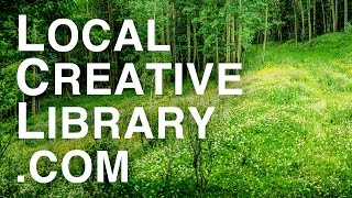 Local Creative Library Ad 15 Seconds