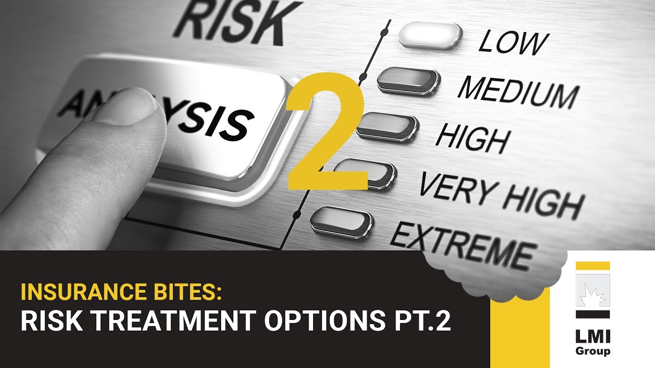 INSURANCE BITES RISK TREATMENT OPTIONS (PART 2) YouTube INSURANCE BITES RISK TREATMENT OPTIONS (PART 2) YouTube