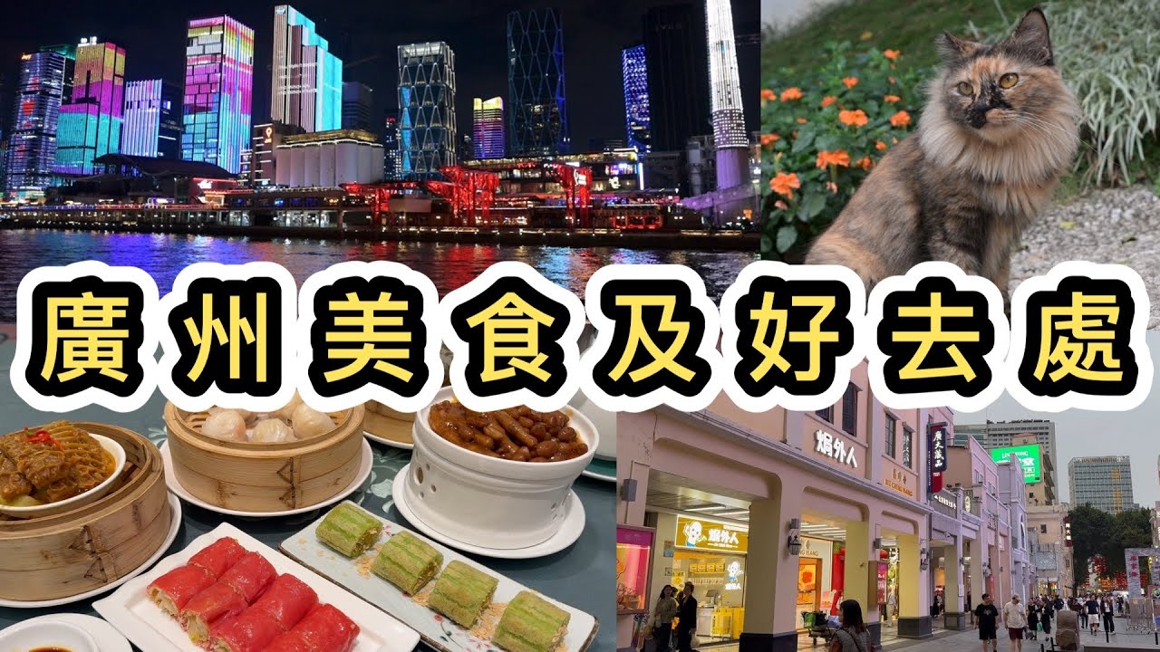 【廣州自由行】三日兩夜美食文化之旅下集👊廣州貓公園大發現😻園林酒家飲茶🌺千年北京路大佛寺🙏老字號經典粵菜😋珠江夜遊📸廣州好去處太多了‼️北園酒家｜越秀公園｜中山紀念堂｜九大簋家宴｜廣州交通｜廣州地鐵