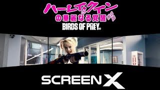 視界270度“悪”vs“悪”の危険度MAXアクション映画『ハーレイ・クインの華麗なる覚醒 BIRDS OF PREY』特別映像