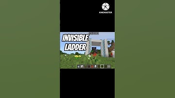 Minecraft invisible ladder #Hacks #Shorts