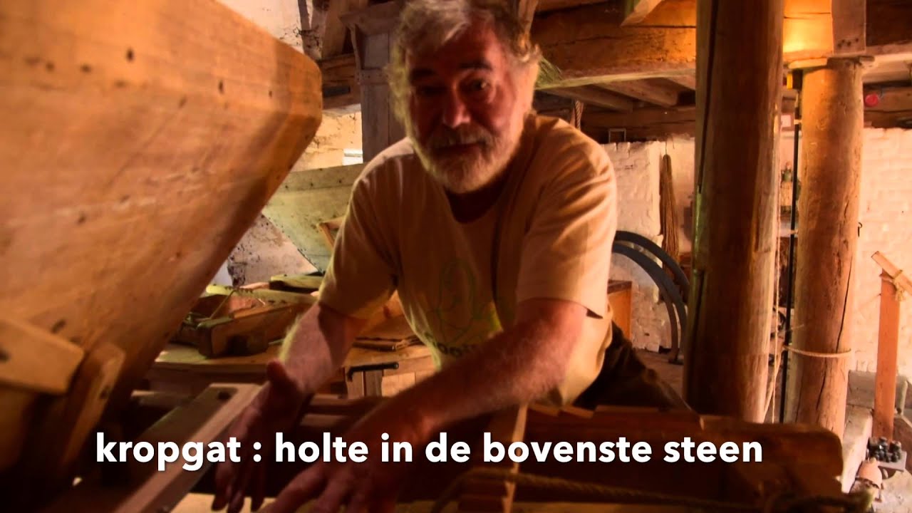 De watermolen van Sint-Gertrudis-Pede (de Pedemolen)