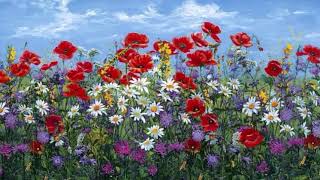 Mirajul macilor 2 - Versuri: Mioara Oprișan; montaj video: Mary Dragulin