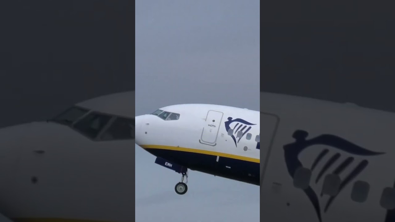 Bird Strike Caught On Camera  