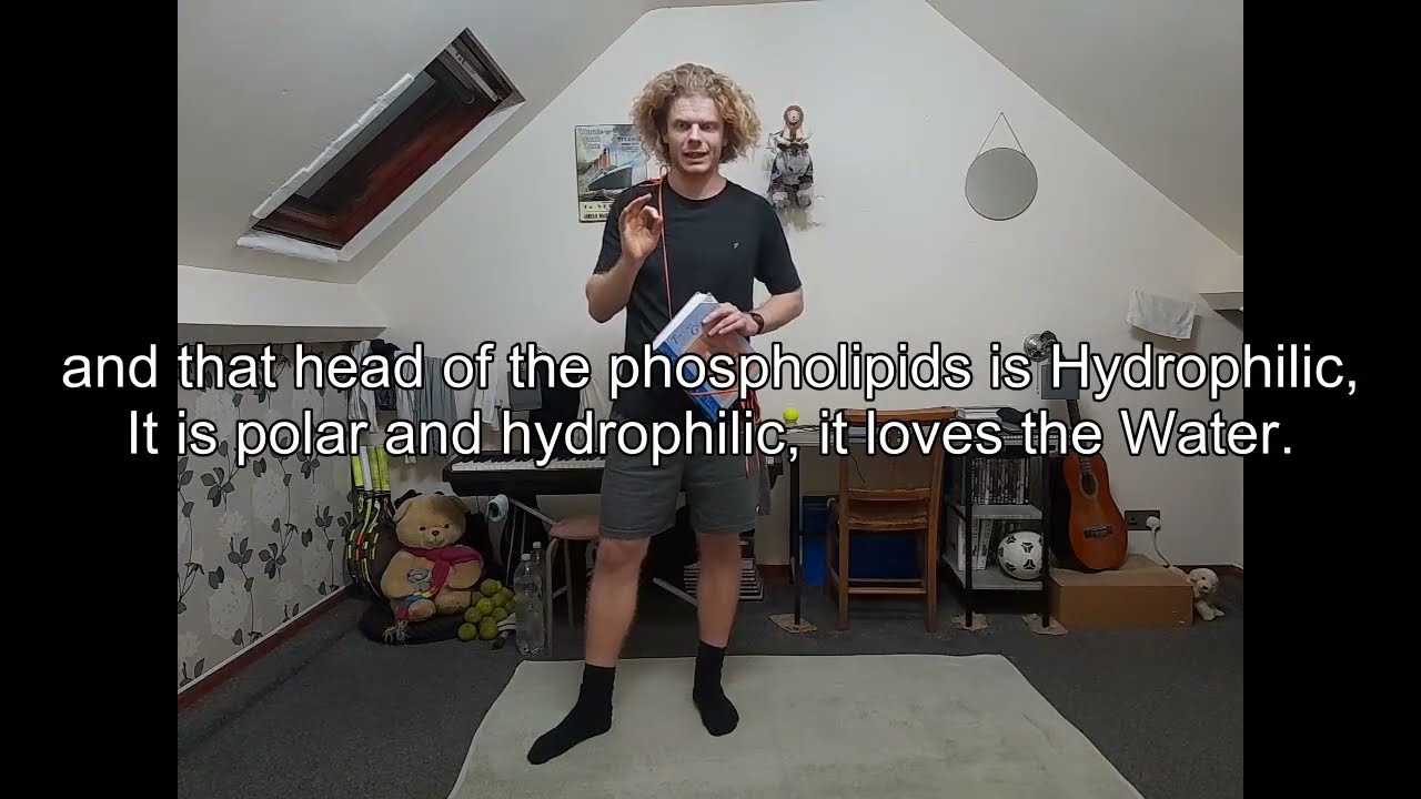 Cytology Part 9, The Lipid Bilayer Part 2, and Armstrength Training, Reg. LYJWTBNU