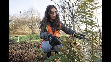 Raingarden & Bioretention Assessment Protocol Instructional Video
