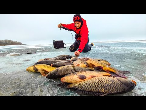 ЭТО ЖЕСТЬ! НАШЛИ ЛОГОВО САЗАНА! ПЕРВЫЙ ЛЁД УДИВИЛ! Зимняя рыбалка 2022-23