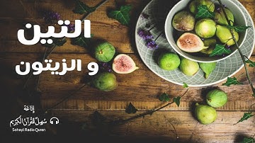 (95) تـلاوة مكررة للحفظ  سورة  " التين " يتلوها القارئ | محمد صديق المنشاوي