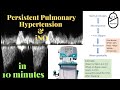 Persistent Pulmonary Hypertension & inhaled Nitric Oxide in 10 minutes!