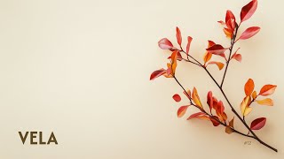 VELA #12 | Rainy Afternoon | Chill House for Indoor Flow