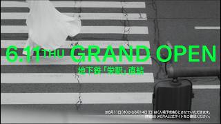 Haera 2026.6.11 Grand Open Ver