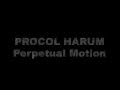 Procol Harum - Perpetual Motion (Live 1995)