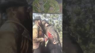 Rdr2 gameplay