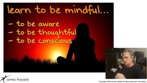 my forex journey: the meditation hack - vid 5 - james possible