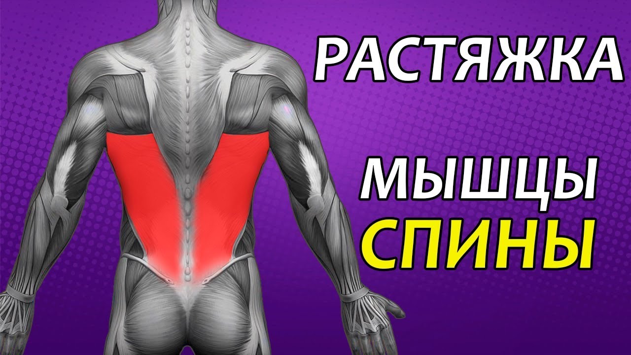 Растяжение мышц спины видео thumbnail