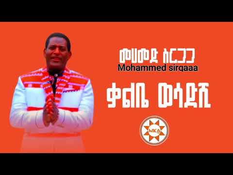 Mohammed Sirgaaa መሀመድ ስርጋጋ ቃልቤ ወሳድሺ ጠመይ ኤጋሽ Siltie Music ስልጥኛ ሙዚቃ