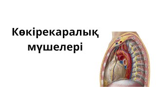 Орыс тілінде қорлау порно