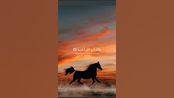 إن الإنسان لربه لكنود | سورة العاديات | القارئ خالد الجليل #تلاوة_خاشعة #خالد_الجليل #آيات