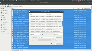 Quick Batch Rename file extension on Linux Ubuntu