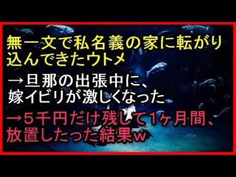 【スカッとする話】無一文で私名義の家に転がり込んできたウトメ→旦那の出張中に、嫁イビリが激しくなった→５千円だけ残して１ヶ月間、放置したった結果ｗ