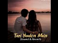 teri yaado mein (slowed reveb) /song/