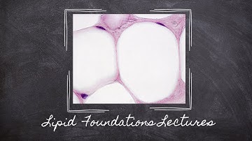 Triglyceride, Phospholipid, and Cholesterol | Part 6 Lipid Foundations | Macronutrients Lecture 72