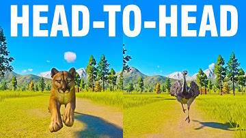 Greater Rhea vs Cougar A Head to Head Speed Race in Planet Zoo