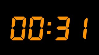 31 Second Timer