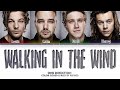 One Direction Walking In The Wind Lyrics Color Coded Lyrics 