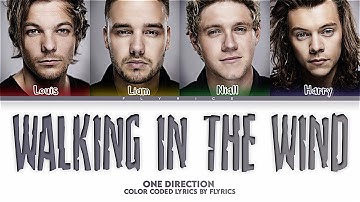 One Direction Walking in the Wind Lyrics (Color Coded Lyrics)