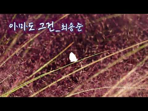 아마도 그건_최용준