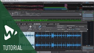 New Error Correction Ribbon New Features In Wavelab Pro 9.5