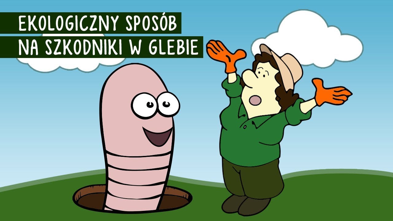 Jak Zwalczać Pędraki I Nicienie Youtube