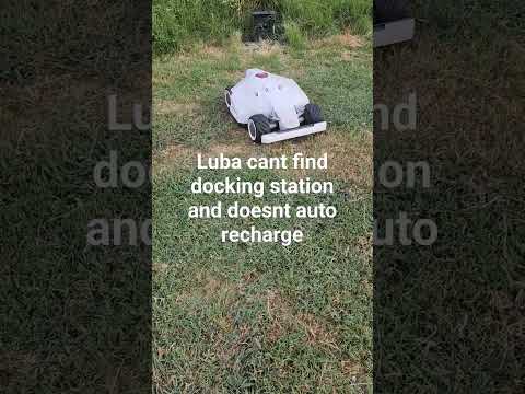 Luba Mammotion 5000