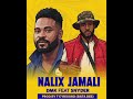 Nalix Jamali Snyder Feat DMK Prod By T17 Records 2026 PNG Music 