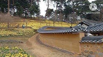 동백여행사 - Youtube