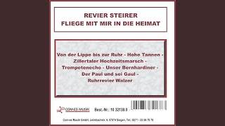 Video thumbnail of "Revier Steirer - Sag Danke schön mit roten Rosen"