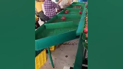 Check weigher Automated Part Sorting Weight - Sort by Weight - High-Speed + Accurate