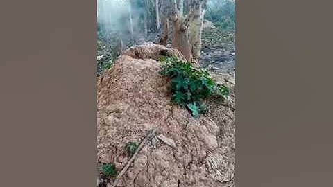 xov xwm kub heev tshwm sim tej yam txawv kawg li