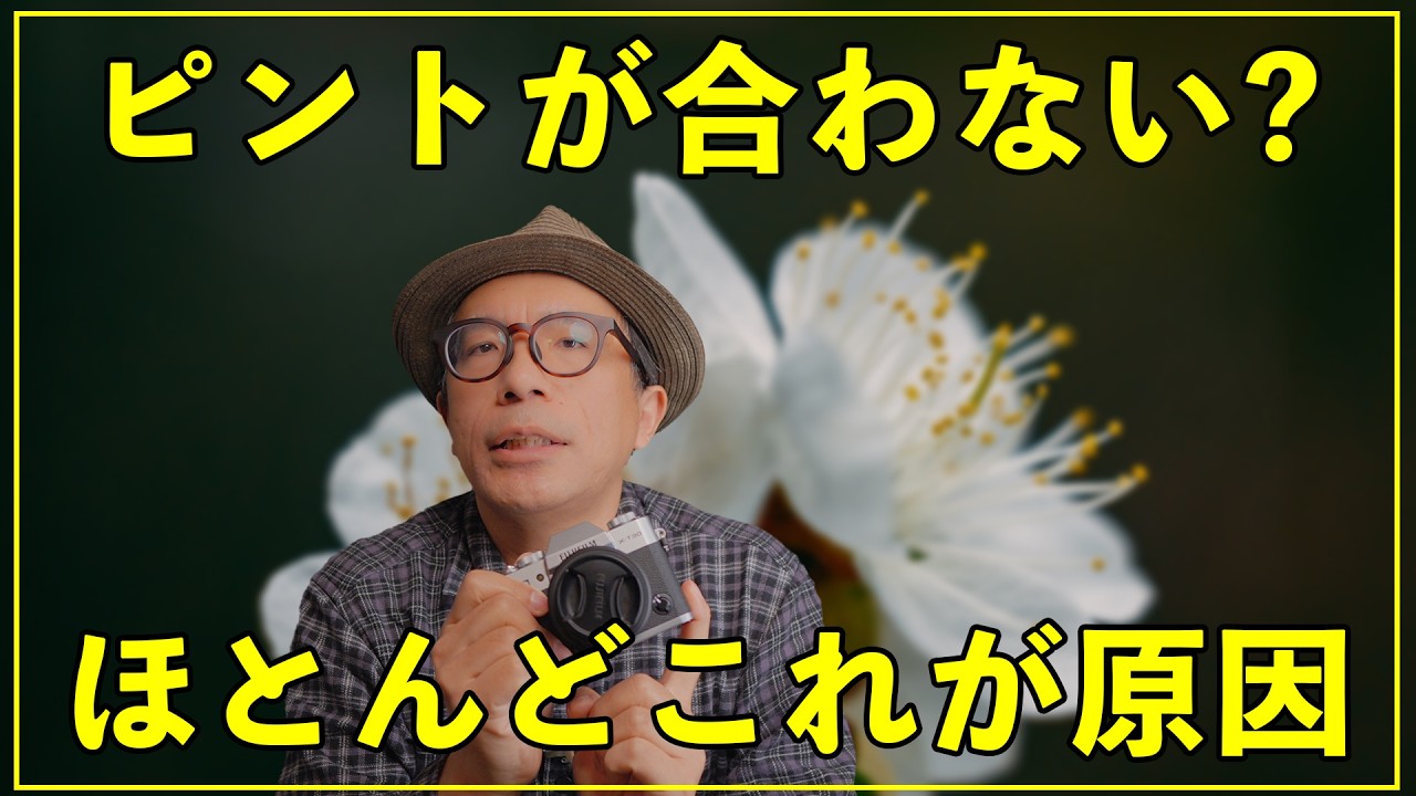 初心者の9割がやってる】シャッターチャンスを逃す人の共通の癖とは