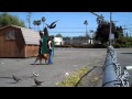 Dog obedience training Austin TX - Dog puppy trainers tips Austin Dog obedience training Austin TX - Dog puppy trainers tips Austin