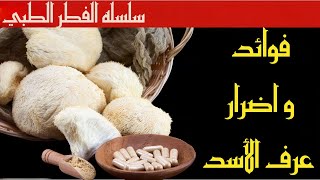 متى يصبح فطر عرف الأسد خطيرًا على صحتك؟