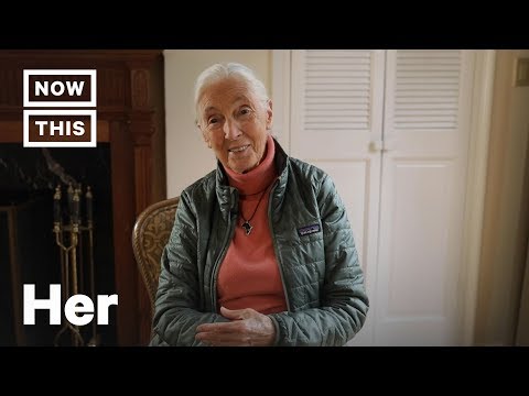 How Dr. Jane Goodall Shattered the Status Quo and Sparked Global Change | NowThis