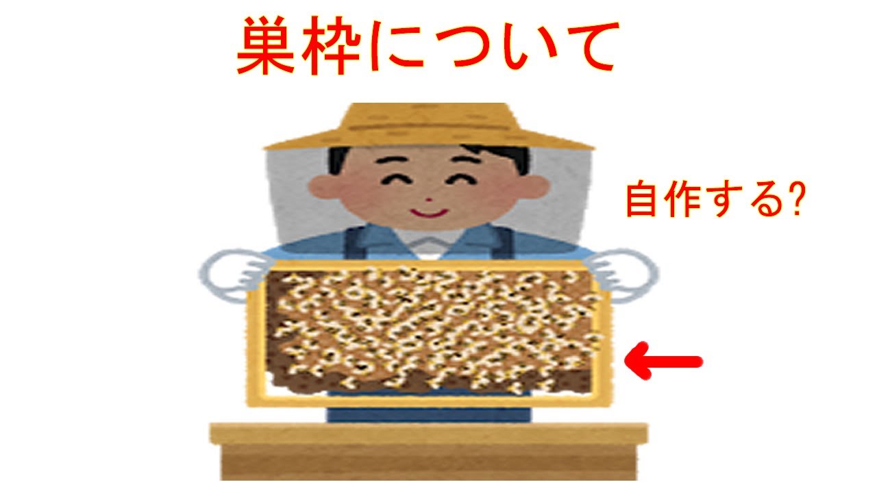 【初心者向け】西洋ミツバチ養蜂で使う巣枠（消耗品）の説明です。【完成品購入推奨】